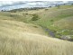 - Griffin Road, Orange NSW 2800