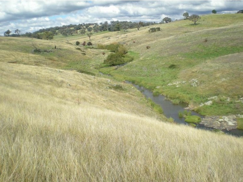 - Griffin Road, Orange NSW 2800