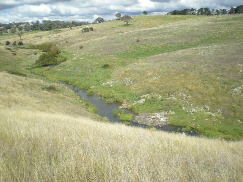 - Griffin Road, Orange NSW 2800