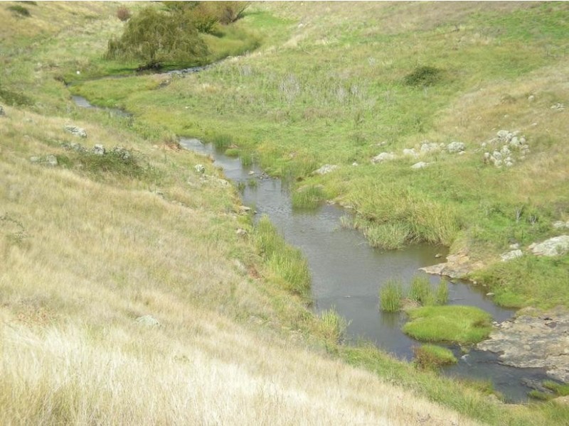 - Griffin Road, Orange NSW 2800