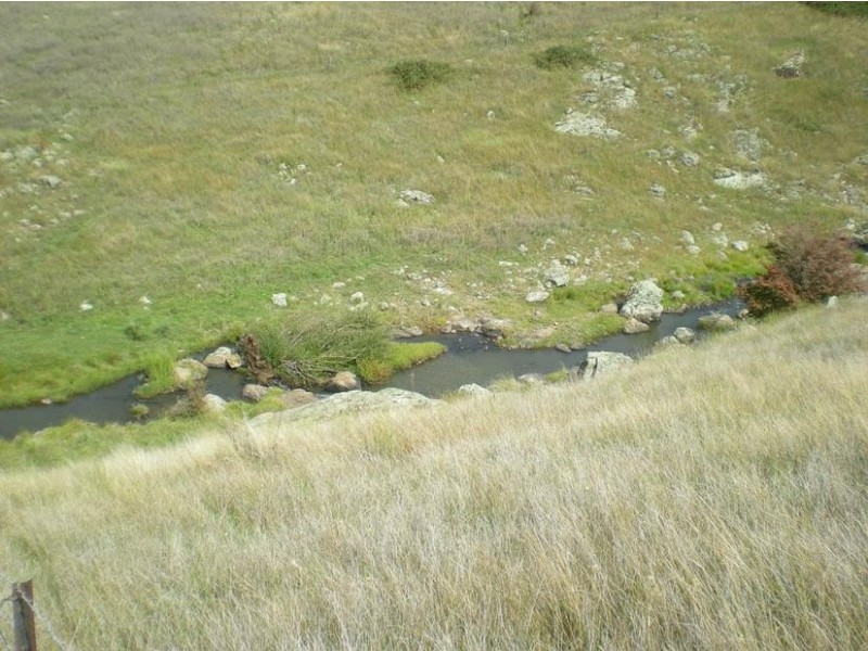 - Griffin Road, Orange NSW 2800