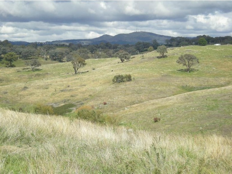 - Griffin Road, Orange NSW 2800