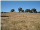 Lot 228,  Mandurama Road, Mandurama NSW 2792