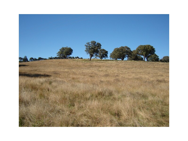 Lot 228,  Mandurama Road, Mandurama NSW 2792