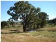 Lot 228,  Mandurama Road, Mandurama NSW 2792