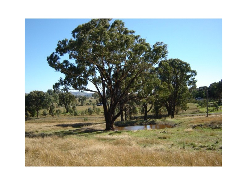 Lot 228,  Mandurama Road, Mandurama NSW 2792