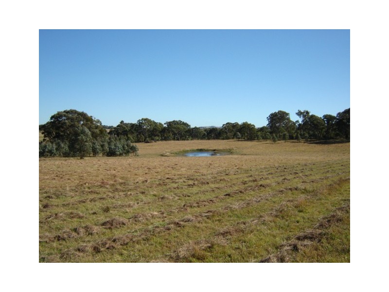 Lot 224,  Mandurama Road, Mandurama NSW 2792