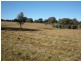 Lot 224,  Mandurama Road, Mandurama NSW 2792
