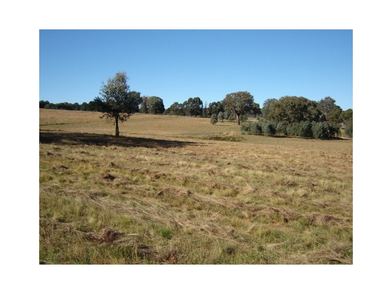 Lot 224,  Mandurama Road, Mandurama NSW 2792