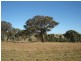 Lot 224,  Mandurama Road, Mandurama NSW 2792