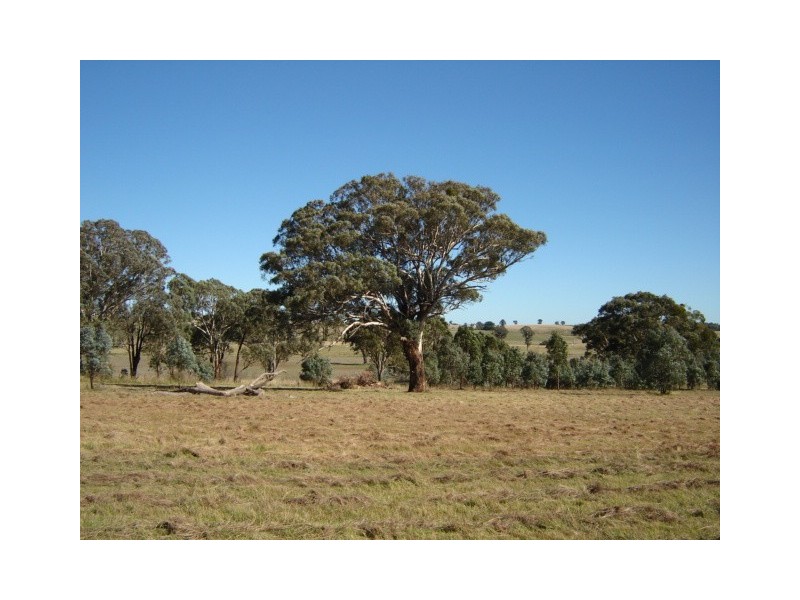 Lot 224,  Mandurama Road, Mandurama NSW 2792