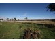 323 Garra Road, Molong NSW 2866