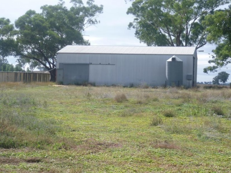 12 Tremaine Drive, Yeoval NSW 2868