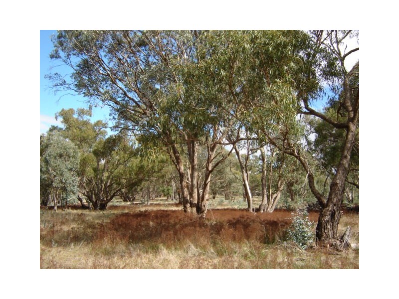 Lot 24,  Cobb Drive, Woodstock NSW 2793