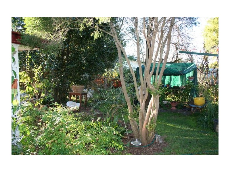 18 Stabback Street, Millthorpe NSW 2798