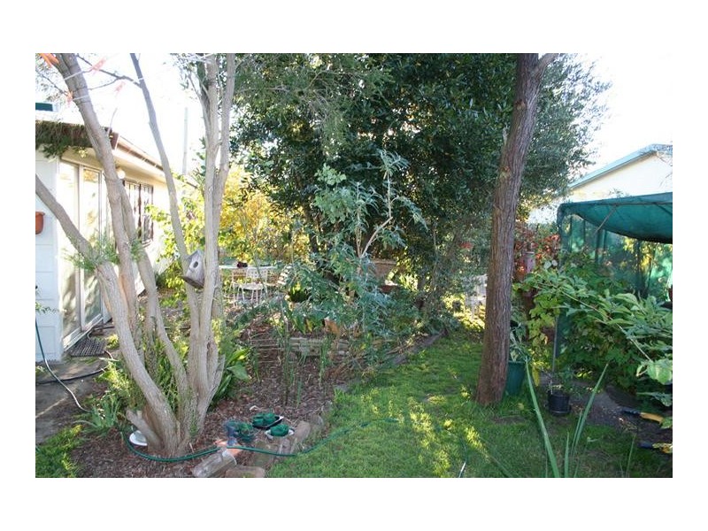 18 Stabback Street, Millthorpe NSW 2798