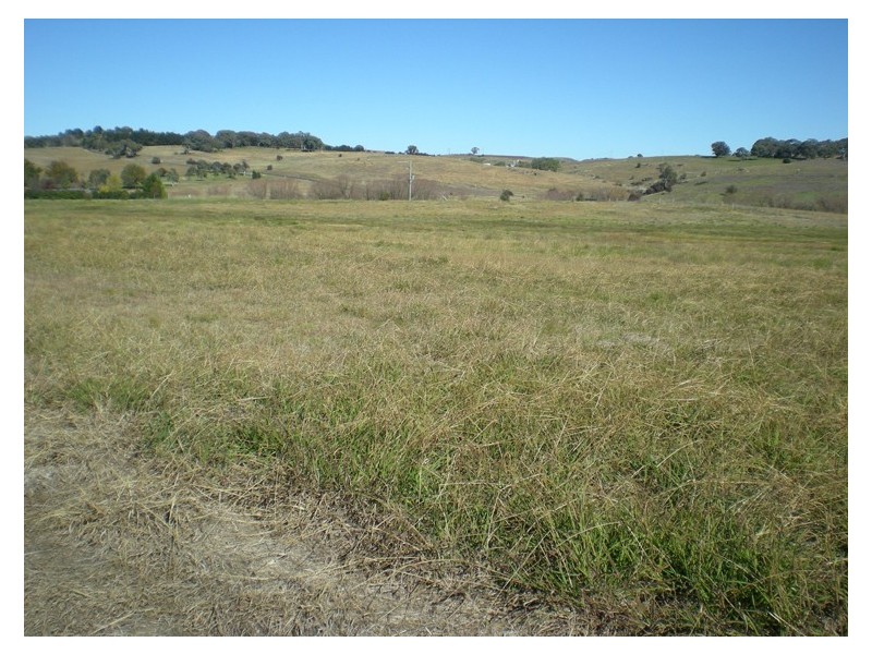 - Rossi Drive, Clifton Grove, Orange NSW 2800