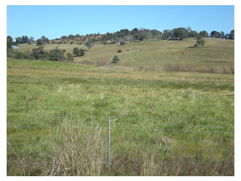 - Rossi Drive, Clifton Grove, Orange NSW 2800