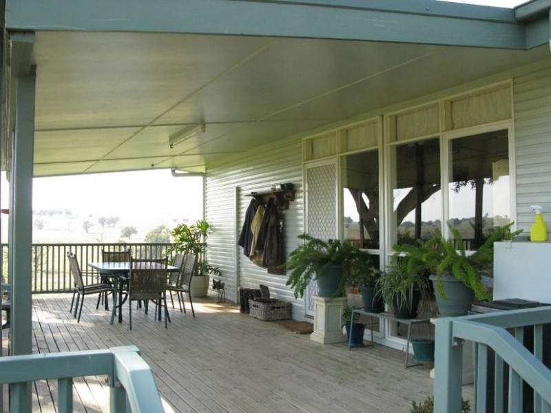- Peabody Road, Molong NSW 2866