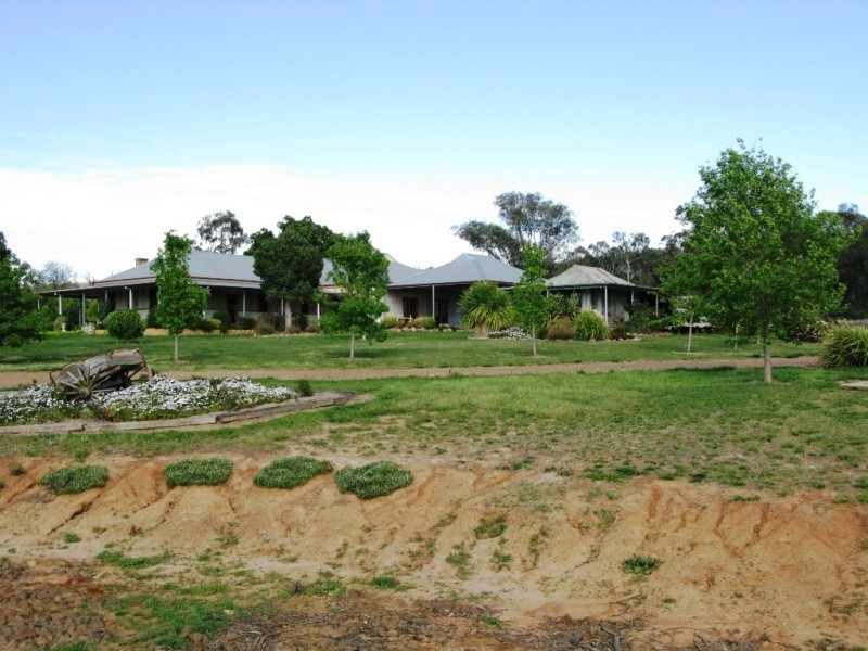 on Peabody Road, Molong NSW 2866