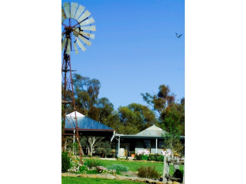on Peabody Road, Molong NSW 2866