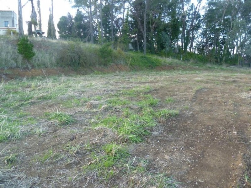 Lot 11 south street, Molong NSW 2866