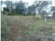 Lot 11 south street, Molong NSW 2866