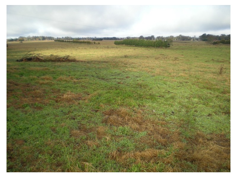 - ‘Studleigh’ Subdivision – Stage 2, Spring Hill NSW 2800