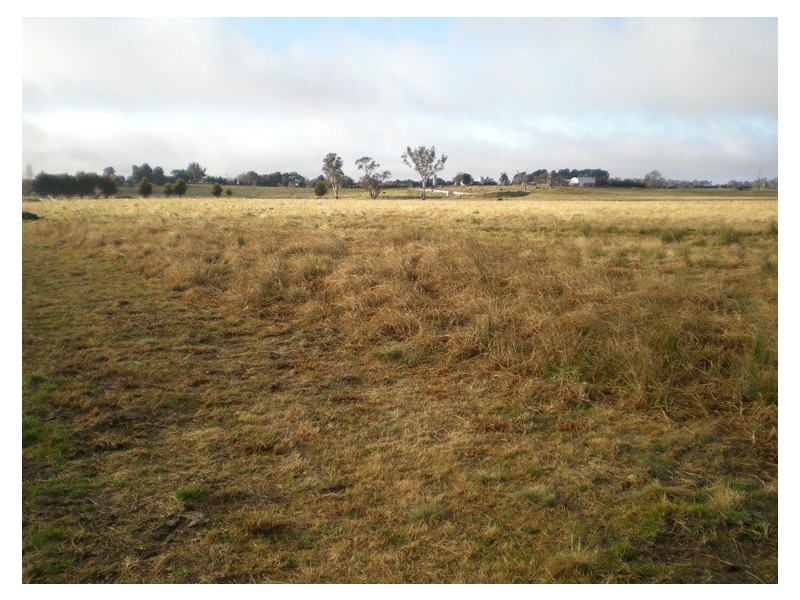 - ‘Studleigh’ Subdivision – Stage 2, Spring Hill NSW 2800