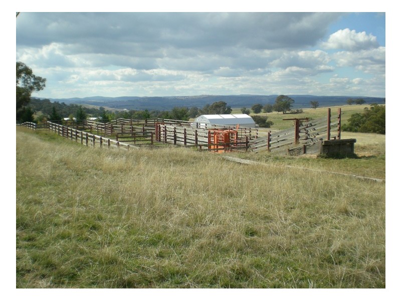 523 Griffin Road, Orange NSW 2800