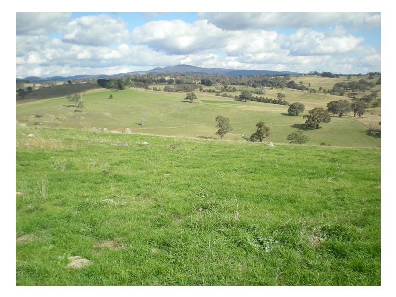 523 Griffin Road, Orange NSW 2800