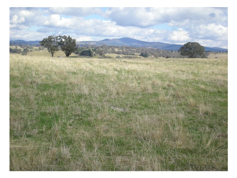 523 Griffin Road, Orange NSW 2800