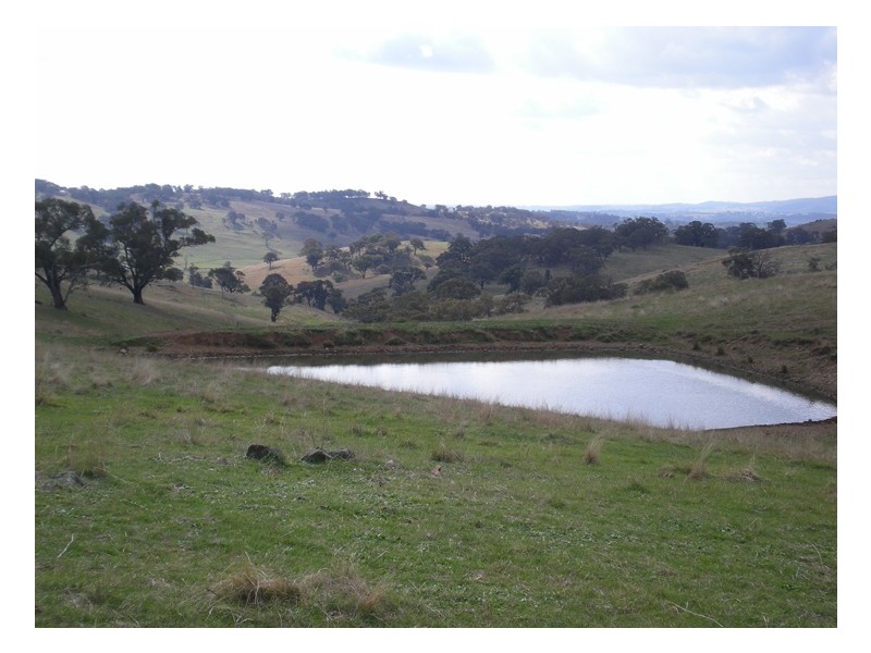 523 Griffin Road, Orange NSW 2800