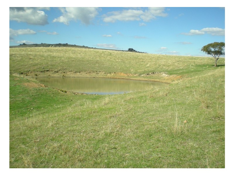 523 Griffin Road, Orange NSW 2800