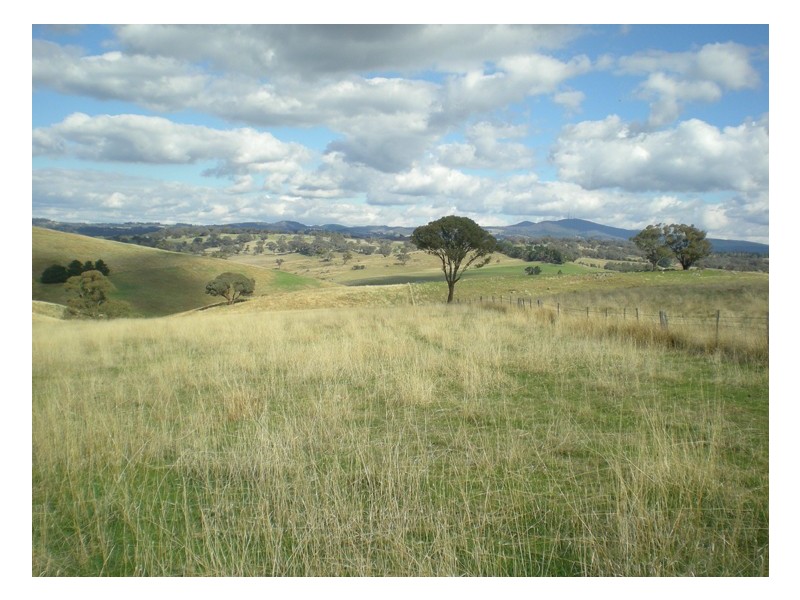 523 Griffin Road, Orange NSW 2800