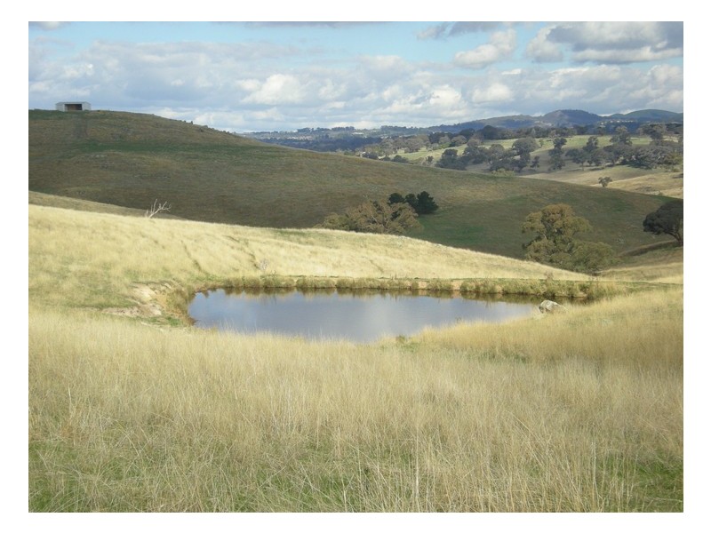 523 Griffin Road, Orange NSW 2800