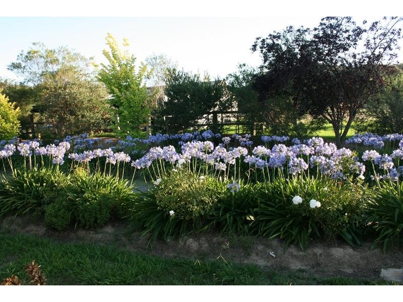 1029 Long Point Road, Orange NSW 2800