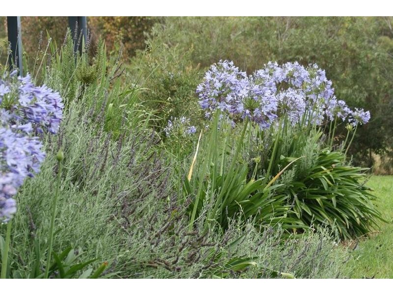 1029 Long Point Road, Orange NSW 2800