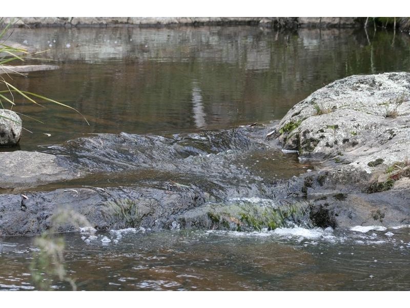 1029 Long Point Road, Orange NSW 2800