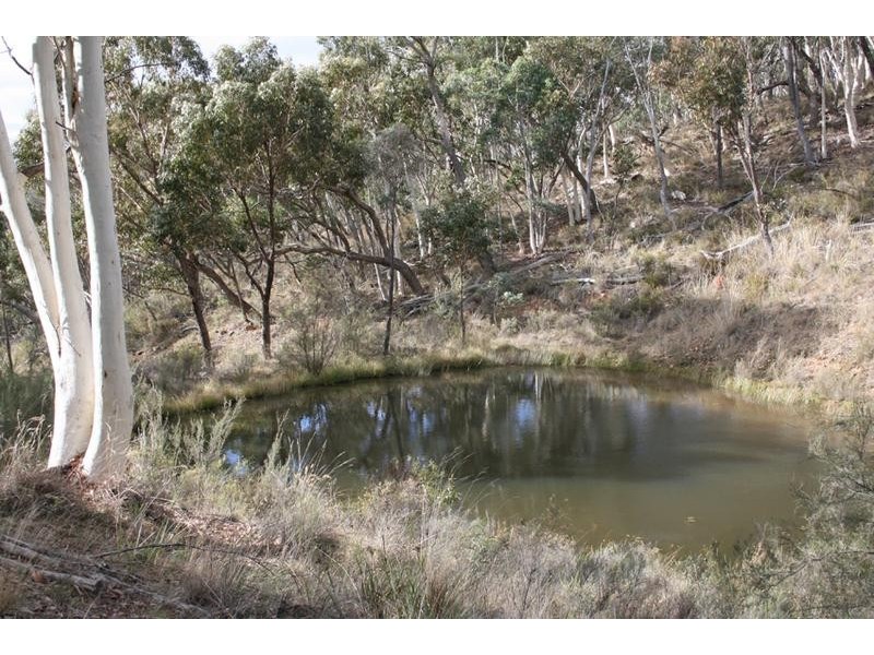 1029 Long Point Road, Orange NSW 2800