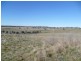104 Yuranigh Road, Molong NSW 2866