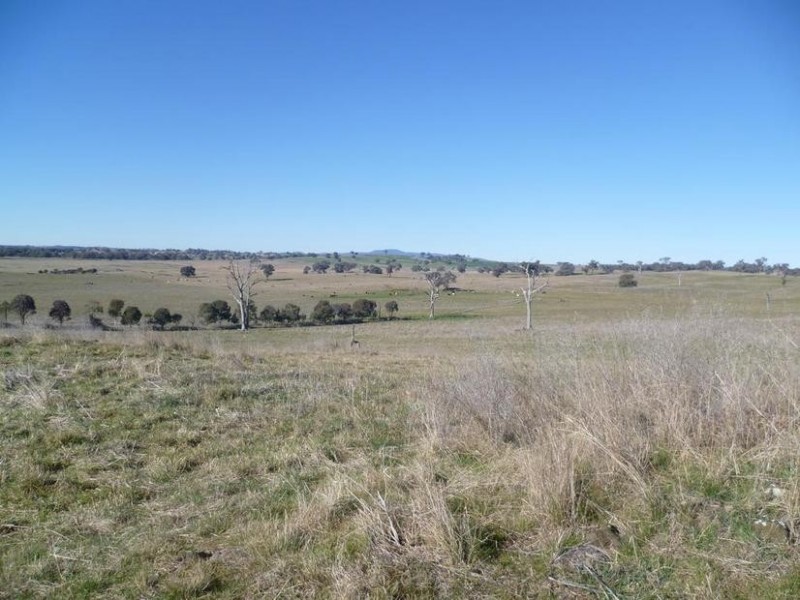 104 Yuranigh Road, Molong NSW 2866