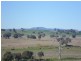 104 Yuranigh Road, Molong NSW 2866