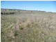 104 Yuranigh Road, Molong NSW 2866