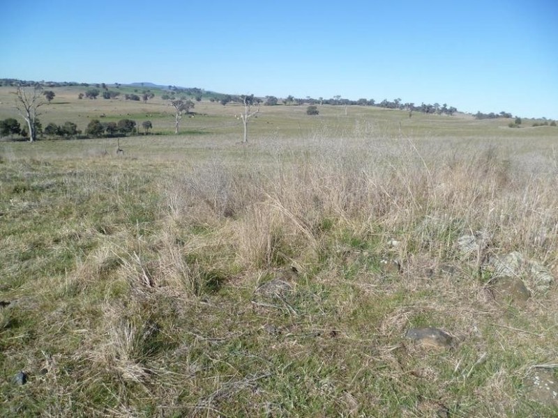 104 Yuranigh Road, Molong NSW 2866