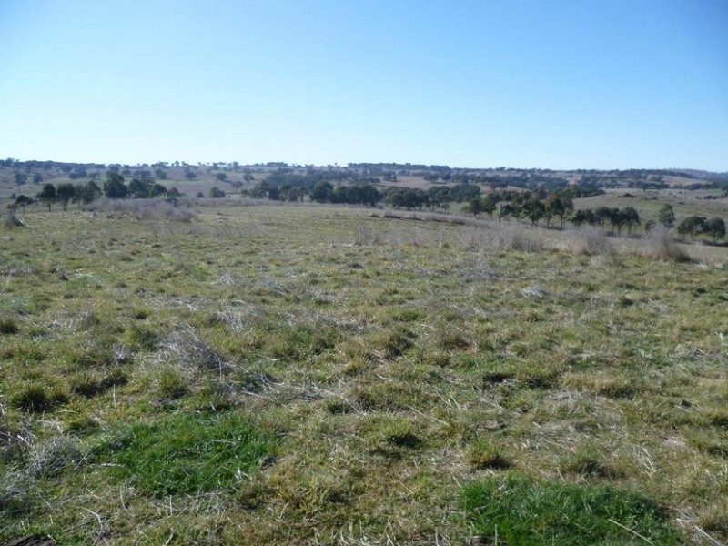 104 Yuranigh Road, Molong NSW 2866