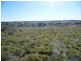 104 Yuranigh Road, Molong NSW 2866