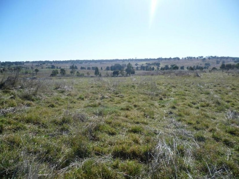 104 Yuranigh Road, Molong NSW 2866