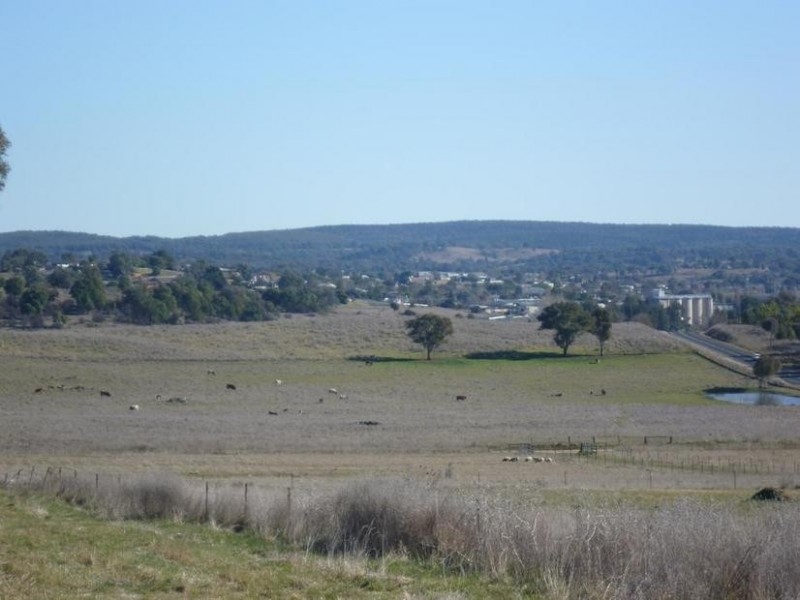 104 Yuranigh Road, Molong NSW 2866