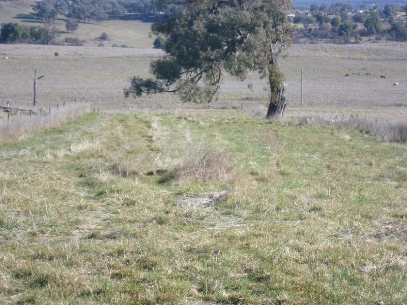 104 Yuranigh Road, Molong NSW 2866